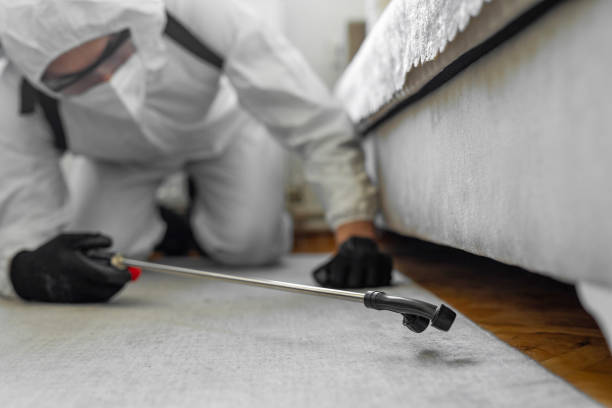 Professional Bed Bug Control technician working in Johnson Lane, NV