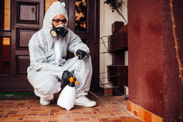 Reliable Bed Bug Control contractor in Johnson Lane, NV by Nex Pest Control